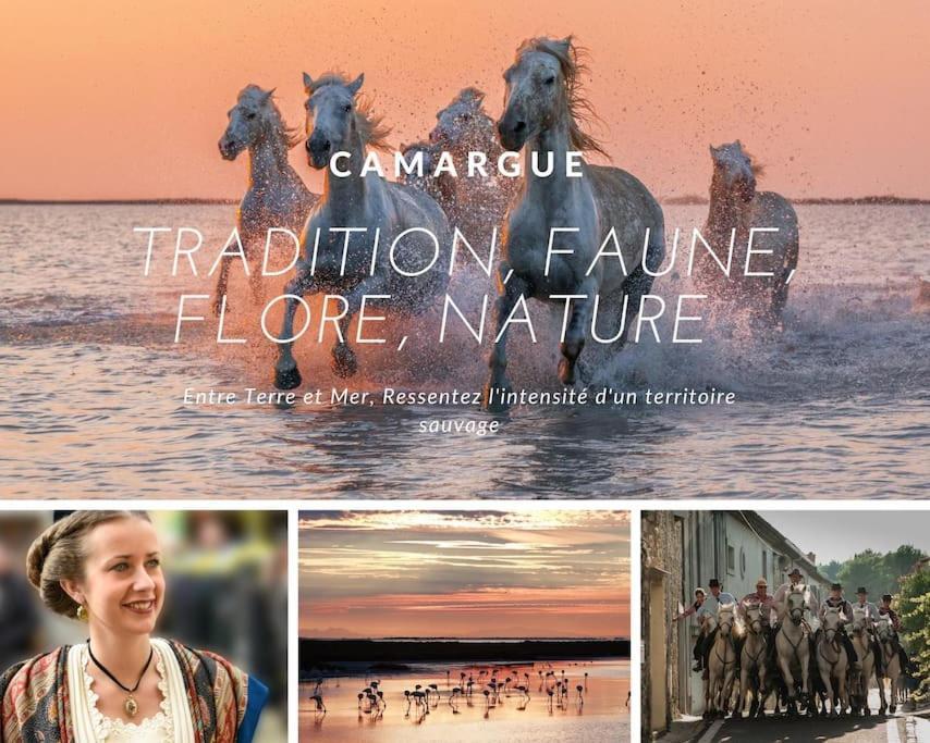 Le Nautilus Proche Plage Clim Parking Prive Wifi Proche Montpellier Карнон-Плаж Экстерьер фото